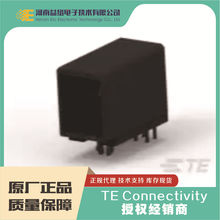1376136-1̩��DYNAMIC D2100