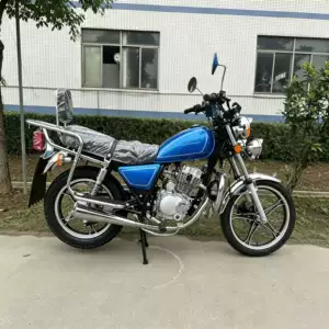 Blue classic two-wheel fuel-powered motorcycle with large cargo rack, strong power, low fuel consumption, suitable for African commuting and cross-border export