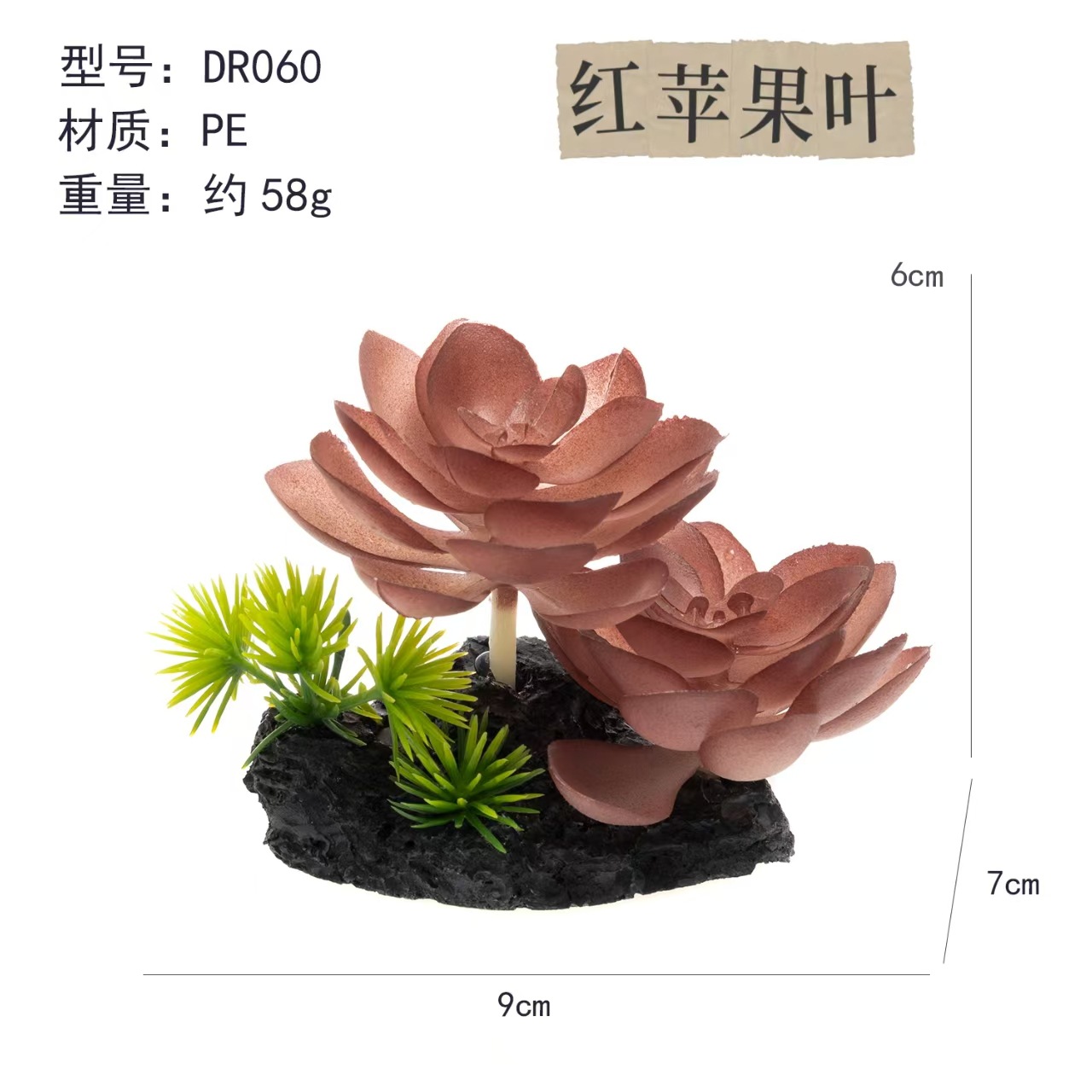 Simulación transfronteriza aire piña suculentas plantas trepadoras caja de mascotas paisajismo planta verde pecera fábrica de decoración paisajismo