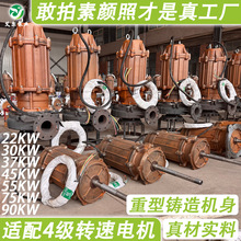现货当天发污水泵潜污泵污水处理厂防汛抗旱重型铸铁污水提升泵厂
