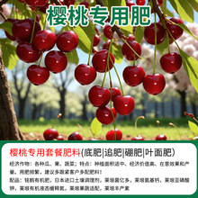 樱桃车厘子专用有机复合肥底肥追肥缓释肥微量元素果树颗粒叶面肥