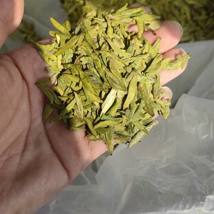 2026�²趹�������G����ǰ�^�ɲ��~�㽭�²���ɽ�������ɢ�b���l