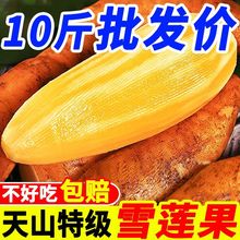 现挖云南天山雪莲果红心应季新鲜脆甜水果一整箱批发