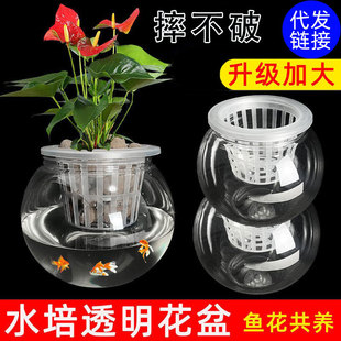 ͸��ˮ��ֲ�ﻨ��ˮ�B�G�}�����~���B�~��������ˮ�Bֳ��