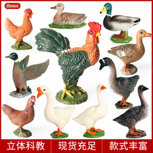 �羳��ͯ����ģ�ͷ��挍���r�������u���Z���Z�{�^�Z���S���i����
