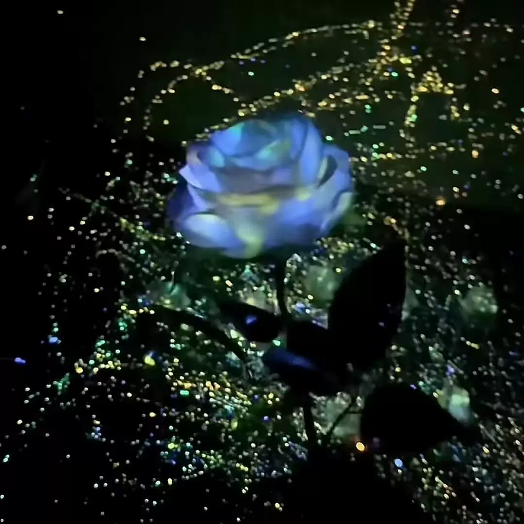 创意diy荧光玫瑰花材料包彩色夜光仿真花花束高颜值浪漫节日摆拍