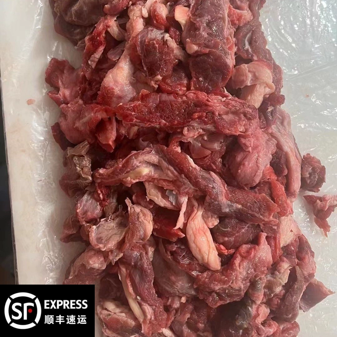 Свежая говяжья фарш, халяльная говядина оптом, сухожилия и мозги, замороженные кубики говядины свободного выращивания, ингредиенты для хот-пота и барбекю оптом