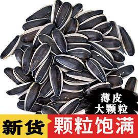 生瓜子葵花籽新货特大颗粒24年内蒙古新鲜现炒货熟瓜子零食