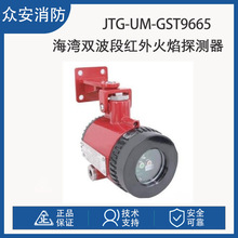 海湾JTG-UM-GST9665点型双波段红外火焰探测器（隔爆型）