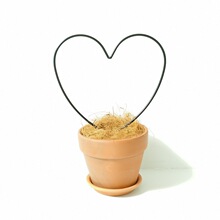 龟甲龙金不换玉荷青蛙藤山乌龟攀爬架花盆架花支撑金属植物架花卉