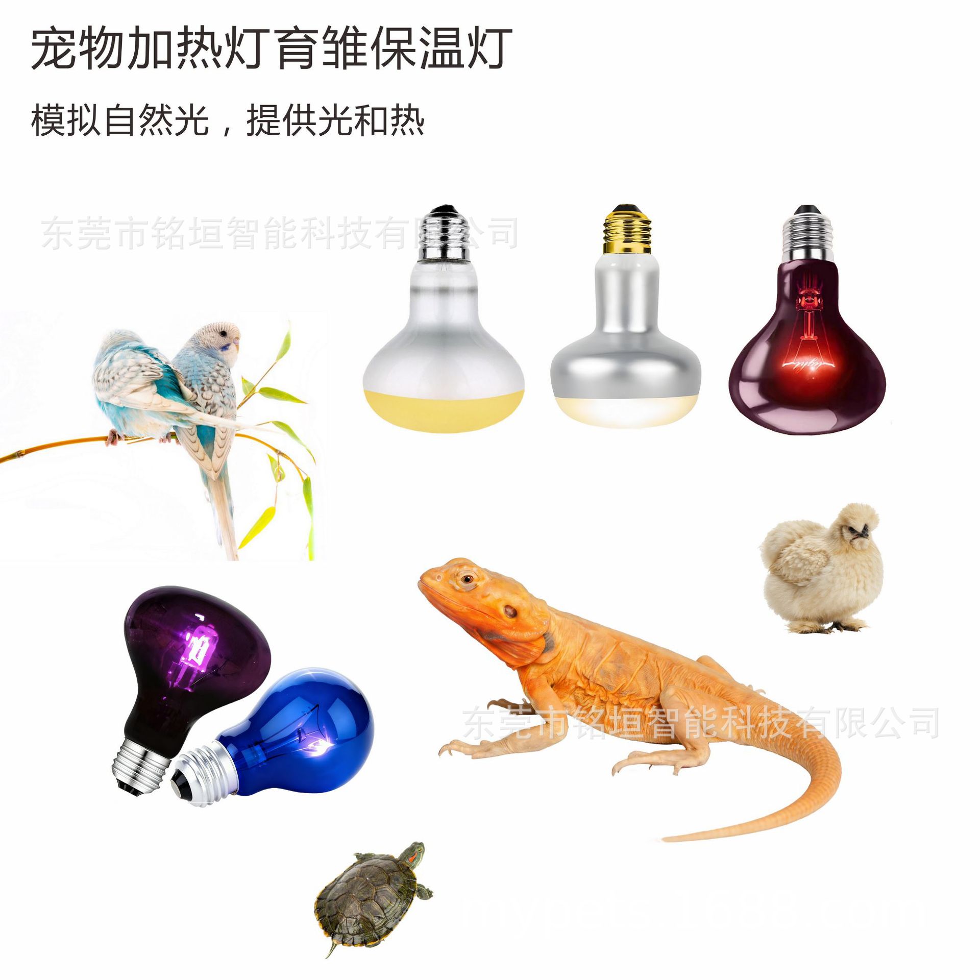 宠物保温uva加热灯爬宠饲养箱日光鬃狮蜥守宫仓鼠鹦鹉蛇保暖取暖