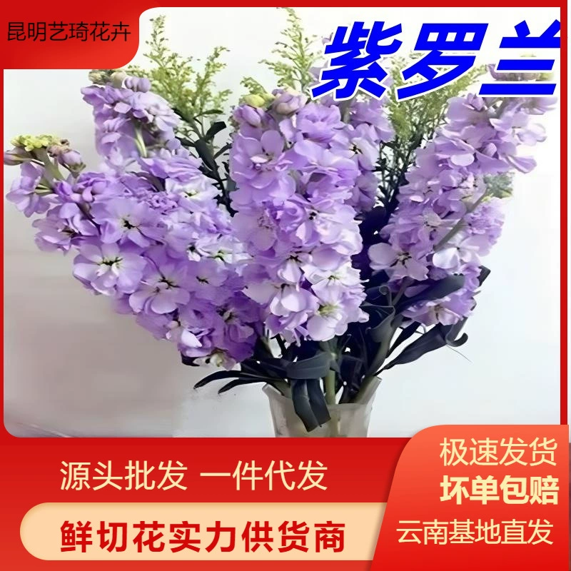 Двухлепестковые фиолетовые цветы Юньнани оптом для домашних цветочных композиций, свадебные украшения, цветы оптом, можно отправить в одном экземпляре