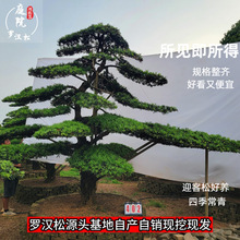 _h辰ؾļeͥԺ̾^GӭɺB