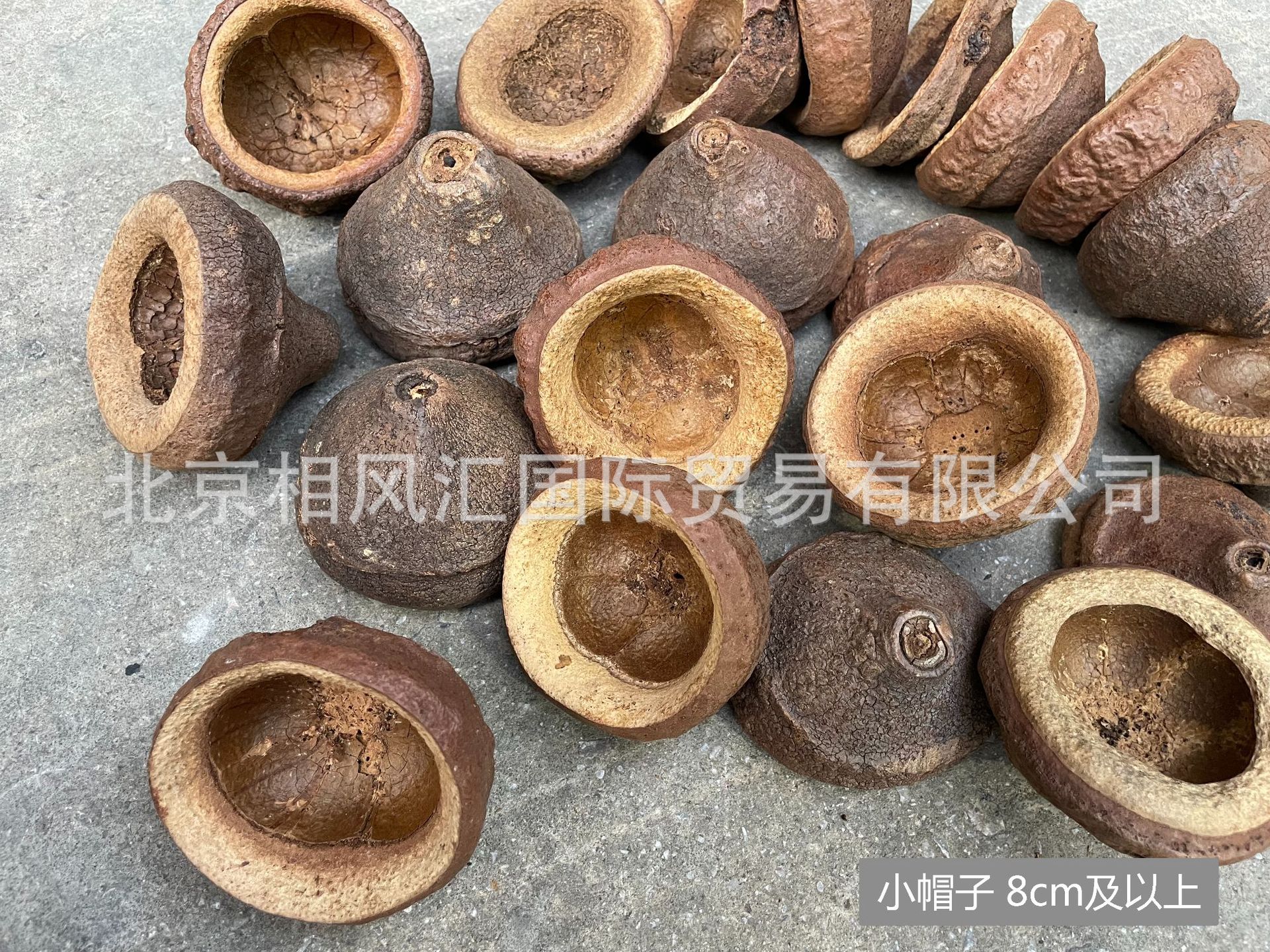 小帽子8cm及以上-9.jpg