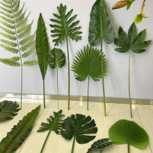 ���������~��ɫֲ��廨�G�~�ָп��~�~�ӻ�c�٘������滨����