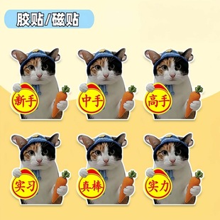 �}������؈��܇�N���N���������Ц�����������������˾�Cmeme�N