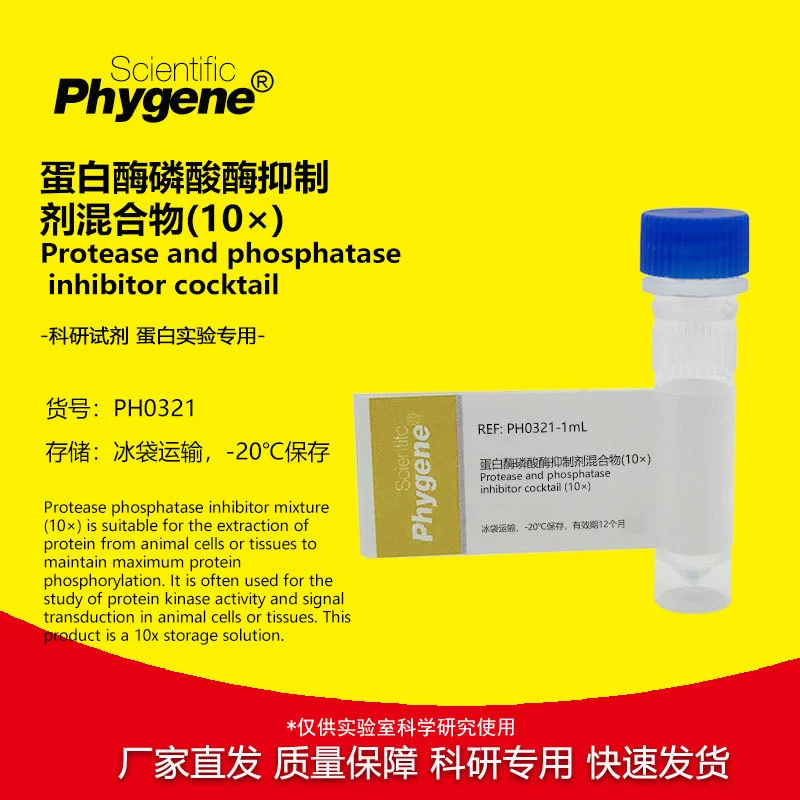 Ингибитор протеазы Фосфатазы Смесь (10 ×)10 мл реагента для испытания белка Специализированный PHYGENE