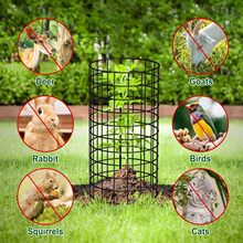 ֲ�ﱣ�o����ֹС�͇��X���ﻨ�@��Ƥֲ��W�֘�ɱ��o�����F�z�W