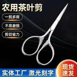 眉刀眉剪;其他剪刀