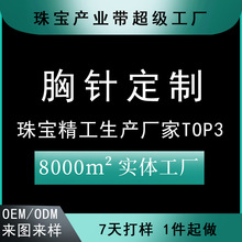 源头厂家胸针加工晚礼服18k金配饰设计个性925银领夹徽章来图打样