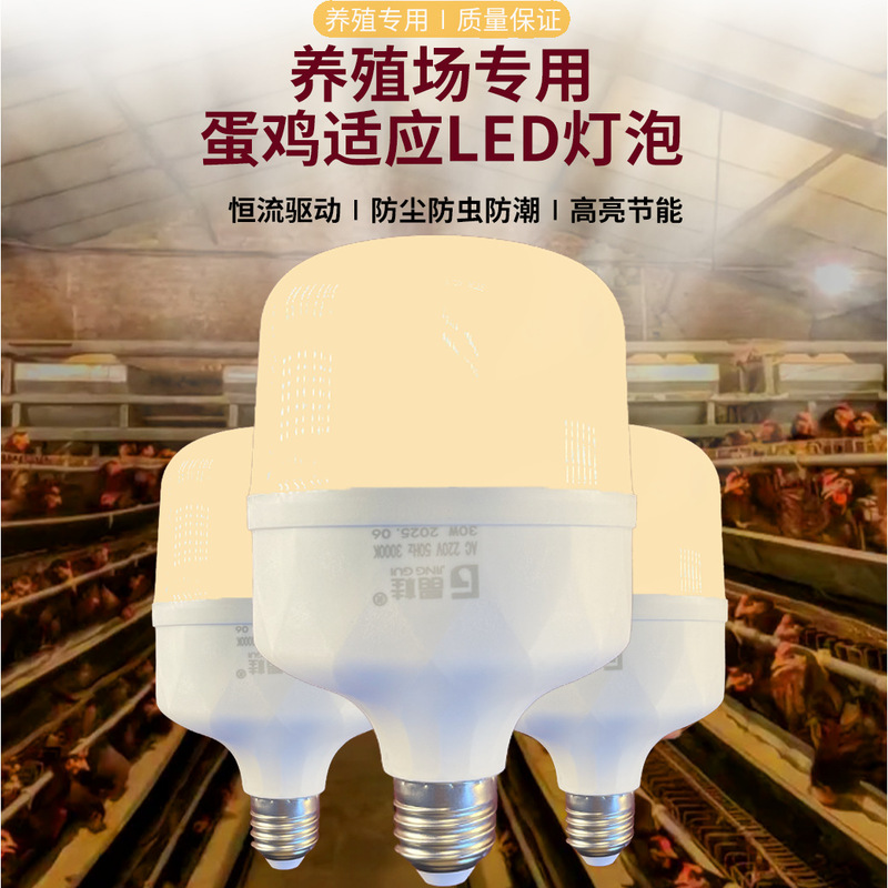 Led Energy-Saving Light Bulb Household E27 Screw Socket Energy-Saving Led White Light Column Bulb Warm Light Home Lighting Super Bright Led Energy-Saving Light Bulb Household E27 Screw Socket Energy-Saving Led White Light Column Bulb Warm Light Home Lighting Super Bright