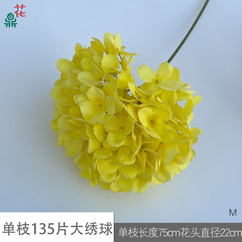 단일 지점 135 큰 수국 M 노란색