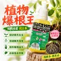家用快速植物移栽生根液