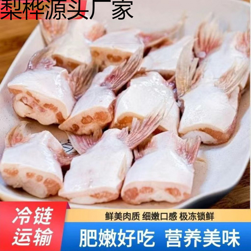 新鲜巴沙鱼翅鮰鱼翅鱼肉回鱼清江鱼巴沙鱼鳍鱼翅烧烤食材批发