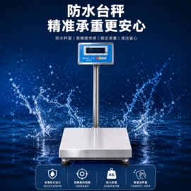 电子秤;地磅;其他衡器