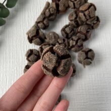 F�������޹�U�㱭�����ɹ��ɻ��}�Q�b�DIY�Ĕz������Ȼ�ֹ��M��
