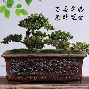 ��ɰ����ŵ��ش��L���R�ۈA��̖���Ř�����ӭ���ɺ����҃�