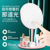 Oval LED makeup mirror Student Dormitory Makes Light Ins Douyin Same Dress -up Makeup Makeup Girl