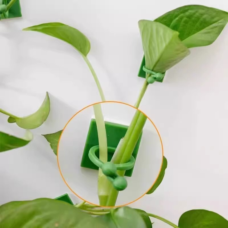 绿萝爬墙固定器绿植攀爬绿植爬墙神器夹子墙上无痕挂钩粘爬藤杆子|undefined