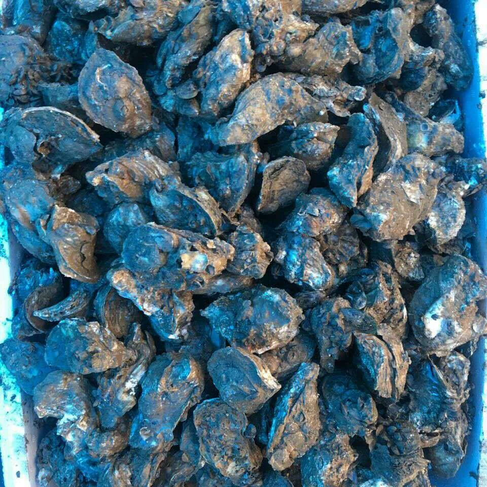 Устрицы ингредиенты для барбекю живые водные устрицы морепродукты устрицы Замороженные половинки раковины устриц оптом уголь сжигание устриц 50 кг