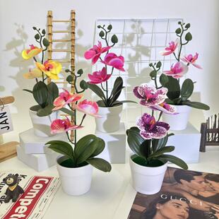 Independent Station 3 Four-Leaf Butterfly Orchid Artificial Potted Fake Flowers Xiaoyuan Pot Artificial Flowers Entrance Decoration Ornaments Wholesale