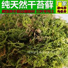 厂家供应国产干水苔干苔藓10公斤包装兰花栽培基质种植土苔藓水苔