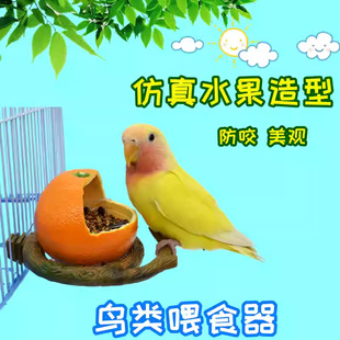 �W�^ιʳ�����ιʳ����Ƥĵ��ʳ�ۮ�ü����С�B��Ʒ�B�\ʳ�ތ���