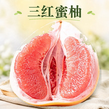 福建平和琯溪三红蜜柚 代发5/9斤礼盒装送礼酸甜多汁当季新鲜水果