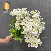 ����С�r��30�^ ��@СҰ�ղ�˹�� ���޾յ��߼ٻ��Ҿӷ��滨���l