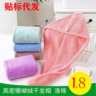 Shower Cap Dry Hair Cap Wholesale Female Cute Coral Velvet Thickened Super Absorbent Quick Drying Turban Dry Hair Towel