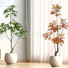 �߼�����Gֲ��ľ�҃��쾰���Լ٘�͏d����ֲ������b�Ʒ������