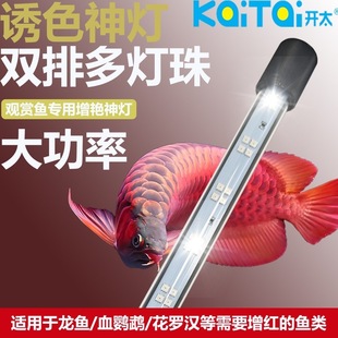 Fish Tank Light Led Waterproof Lighting Aquatic Plant Light Aquarium Ornamental Diving Light Double Row Lamp Bead Dragon Fish Color Enhancement Light
