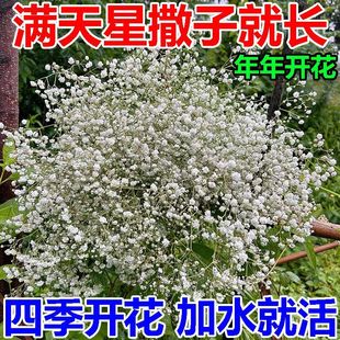 ��ɫ�M���ǷN���������B�_�������̨ͥԺ�^�����ļ��Nֲ��N��