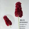Cone-shaped pagoda hydrangea-burgundy