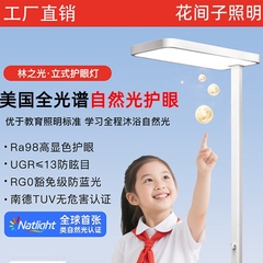 大路灯全光谱儿童台灯护眼学习专用防近视小教室落地灯钢琴阅读灯