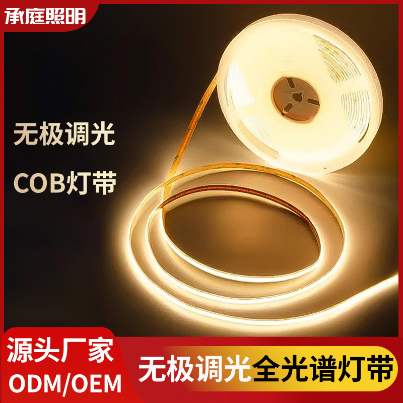 灯带可变色无极调光电源客厅双眼皮楼梯cob感应双色灯带