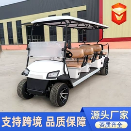 电动观光车;其他电动车;工具车