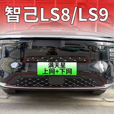 Automobile anti-insect net Zhiji LS9/8 front grille radiator - zhiji-ls8ls9starry-skyglossy-black-top-bottom-mesh-insect-proof-net