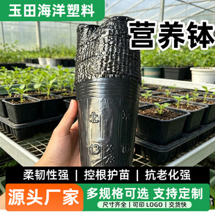 13&times;16 ����I�B�� һ�������������� ������ľ�Nֲ�I�B�����l