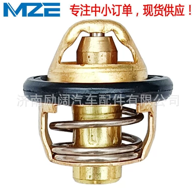 Premium Product 0180-022810 Thermostat